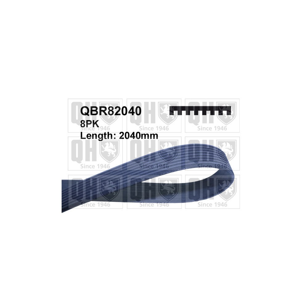 Image for QH QBR82040 Drive Belt