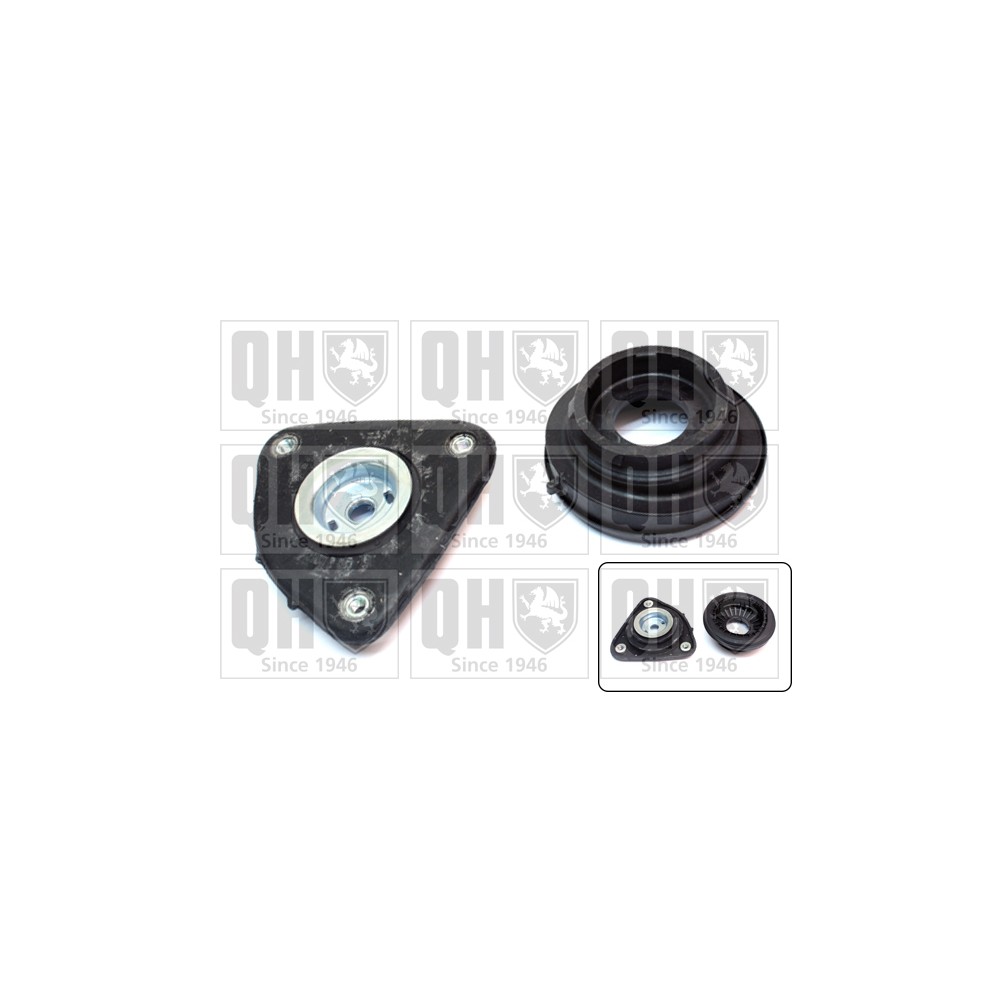 Image for QH EMA6124 Top Strut Mounting- inc Bearing