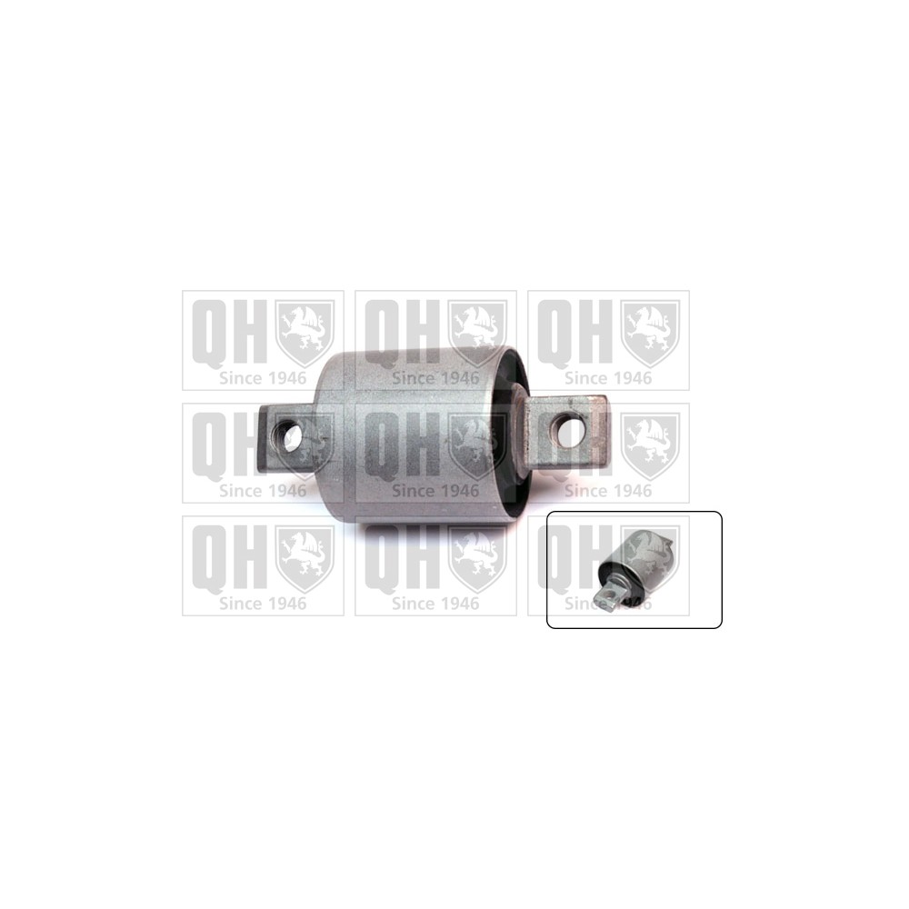 Image for QH EMS8589 Suspension Arm Bush - Rear