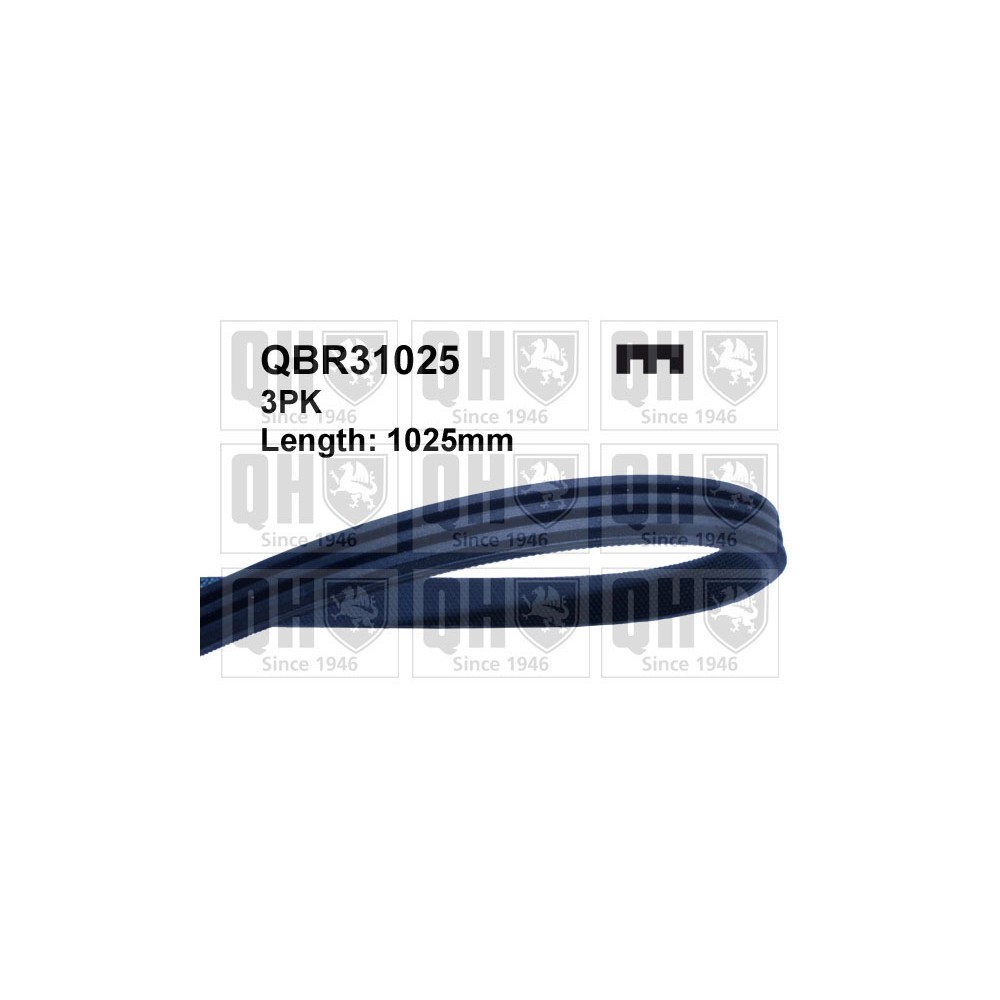 Image for QH QBR31025 Drive Belt