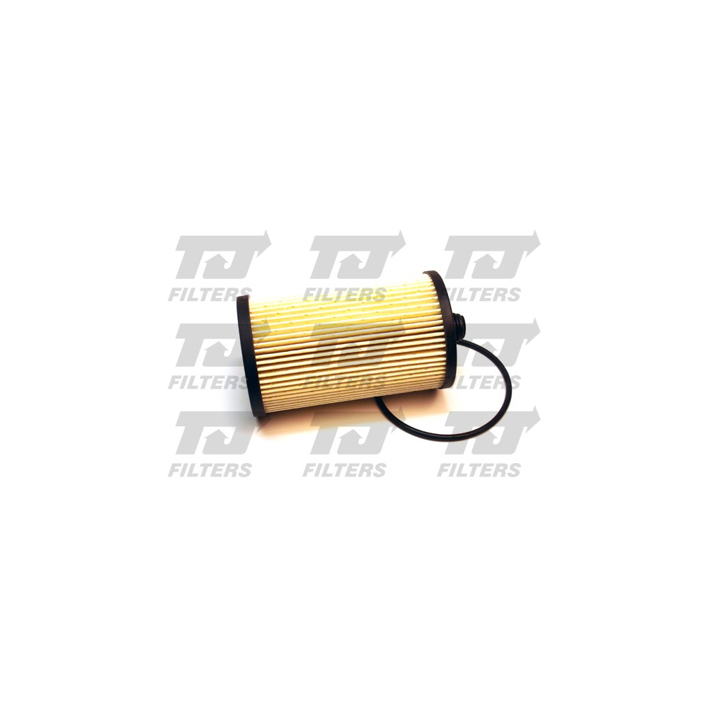 Image for TJ QFF0060 Fuel Filter