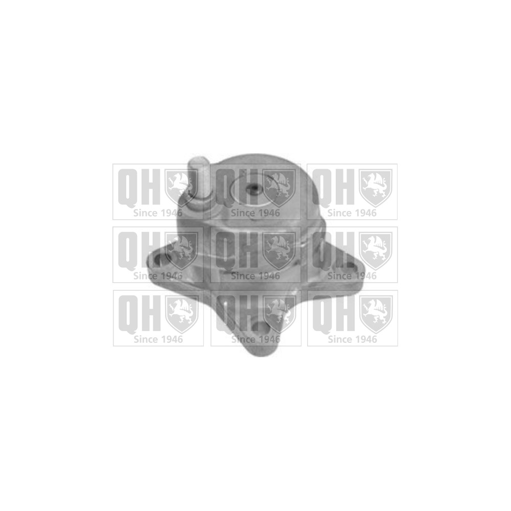 Image for QH QTA1318 DRIVE BELT TENSIONER