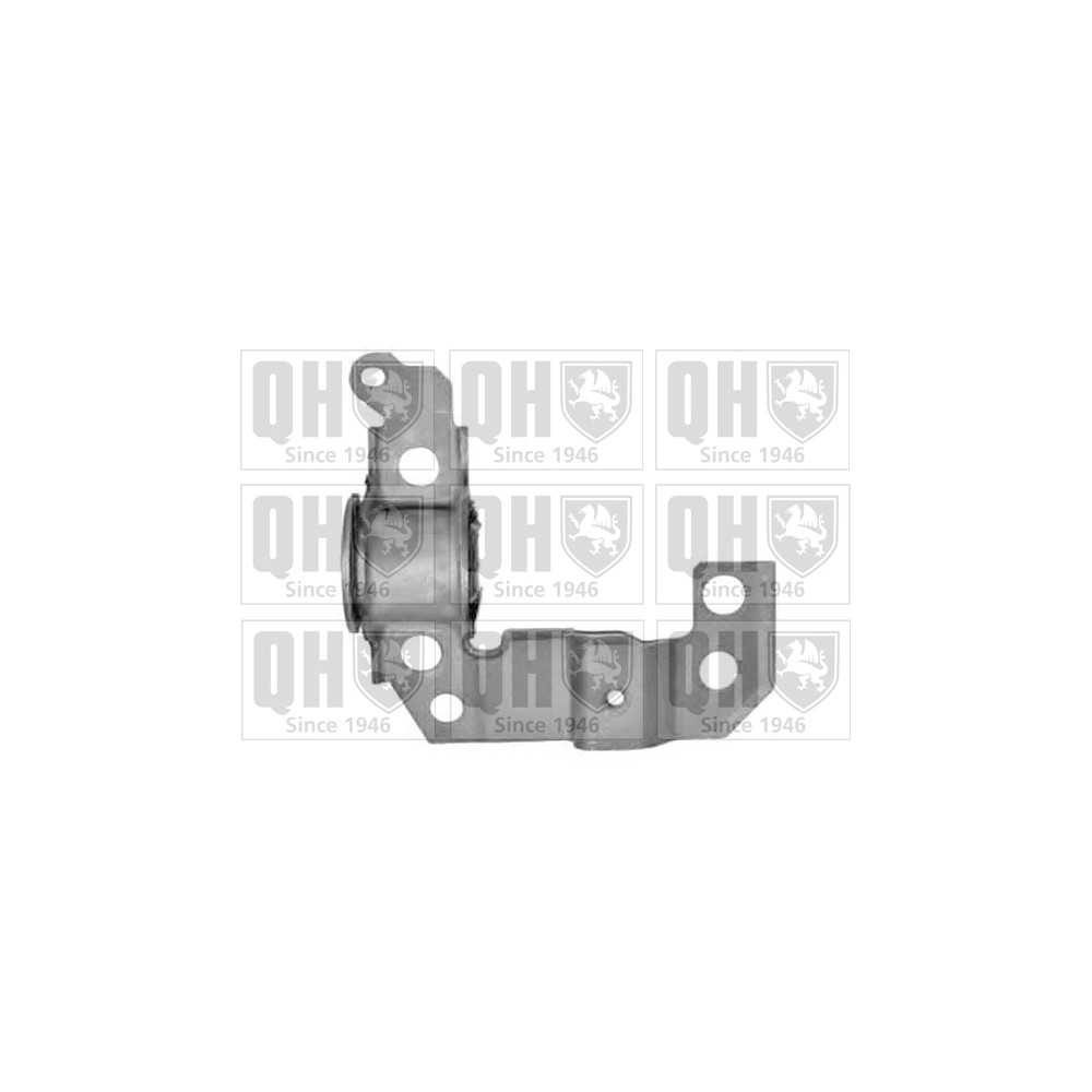 Image for QH EMS8034 Suspension Arm Bush - Front Lower LH (Rear)