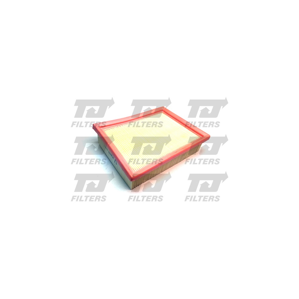 Image for TJ QFA0493 Air Filter