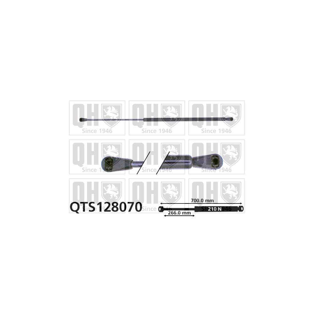 Image for QH QTS128070 Gas Spring