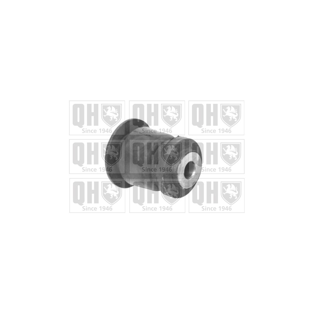 Image for QH EMS8348 Suspension Arm Bush - Front Lower LH & RH (Front)