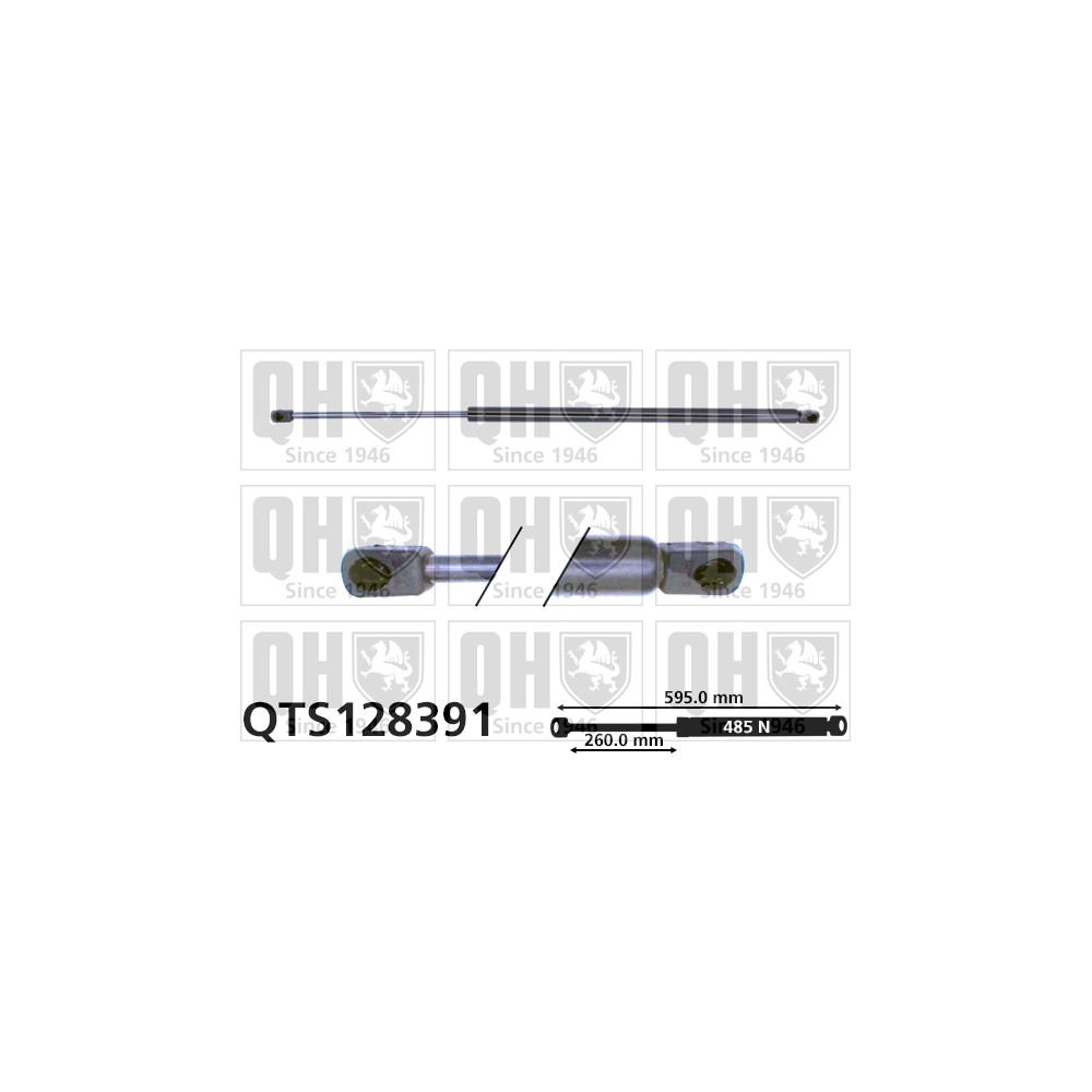 Image for QH QTS128391 Gas Spring