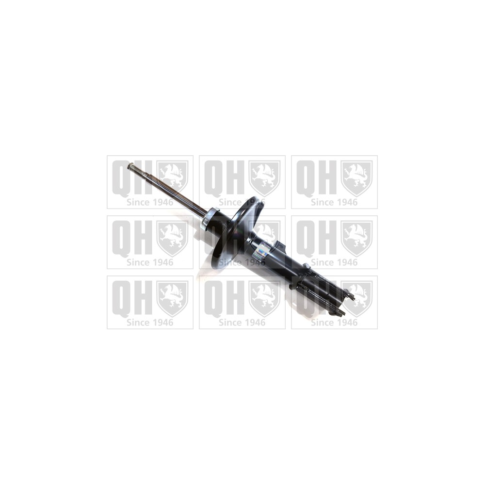 Image for QH QAG178798 Shock Absorber