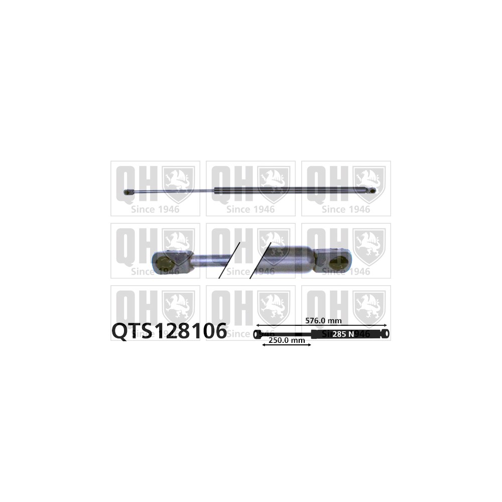 Image for QH QTS128106 Gas Spring