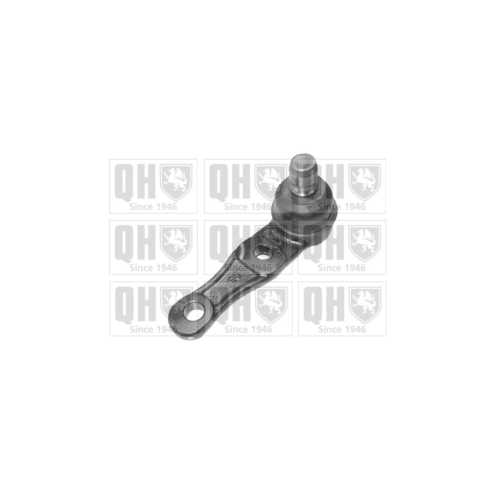 Image for QH QSJ1796S Ball Joint - Front Lower LH & RH