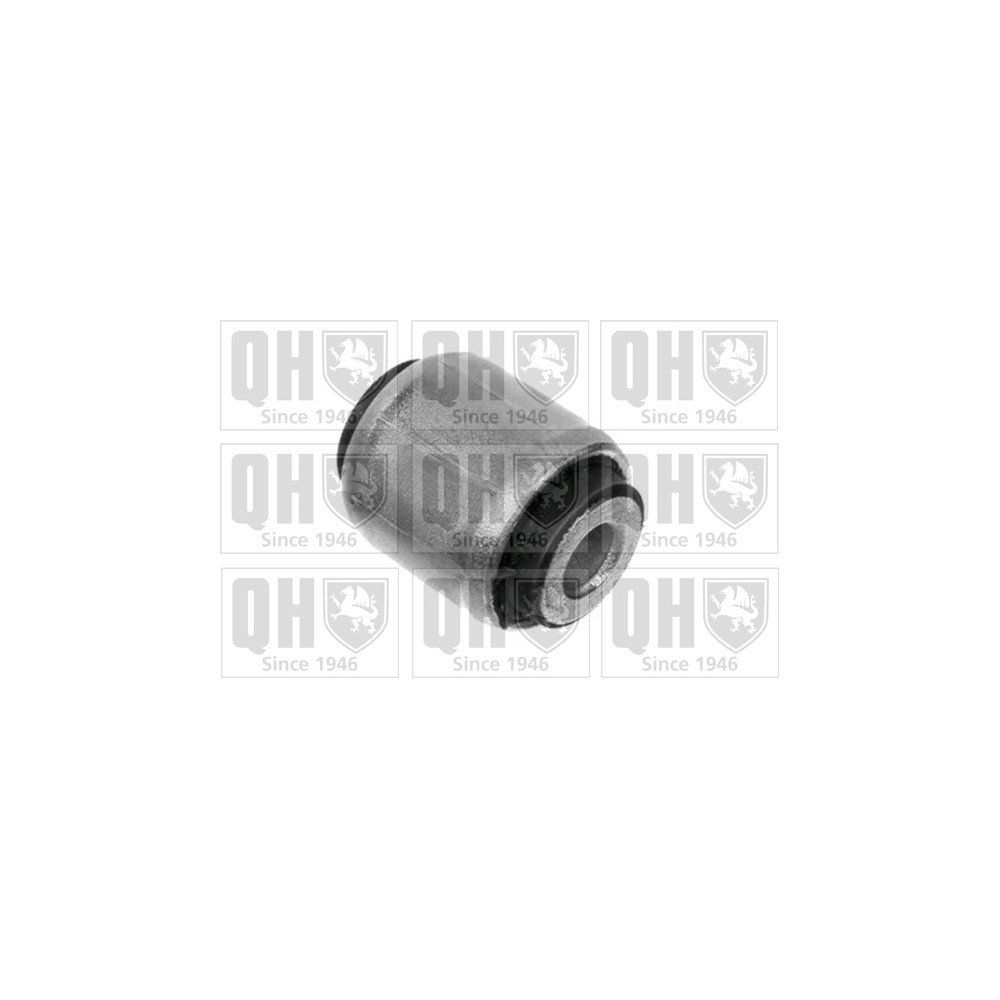 Image for QH EMS8409 Suspension Arm Bush - Rear Upper LH & RH