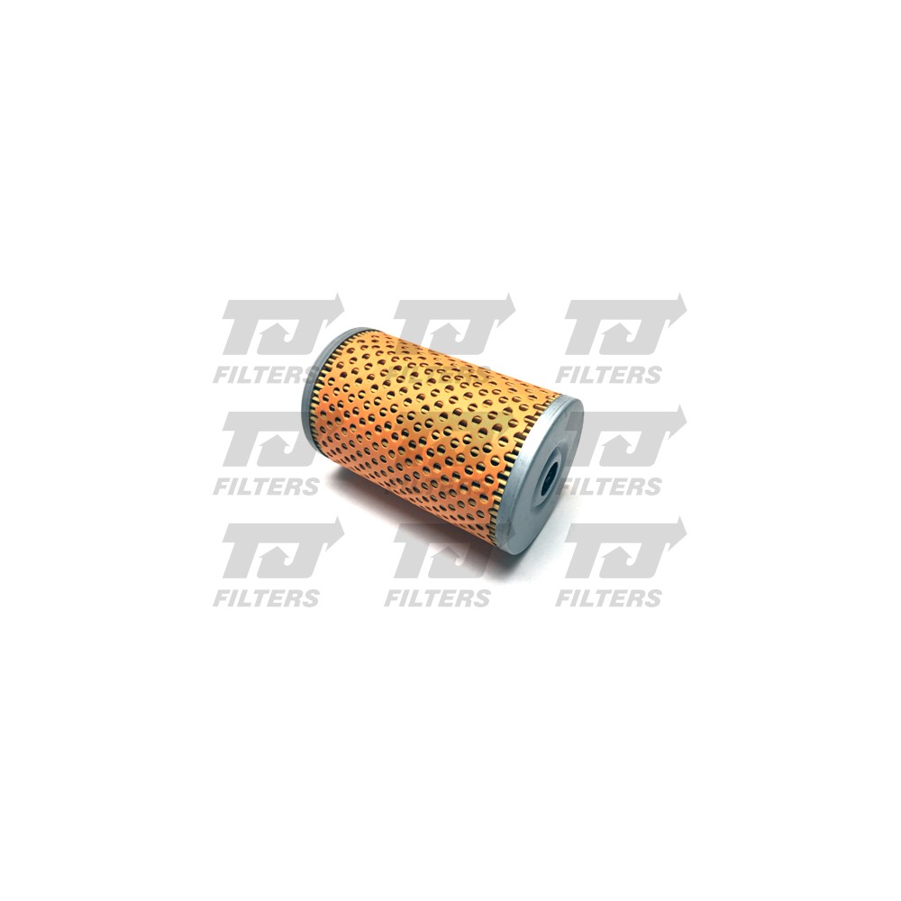 Image for TJ QFF0142 Fuel Filter