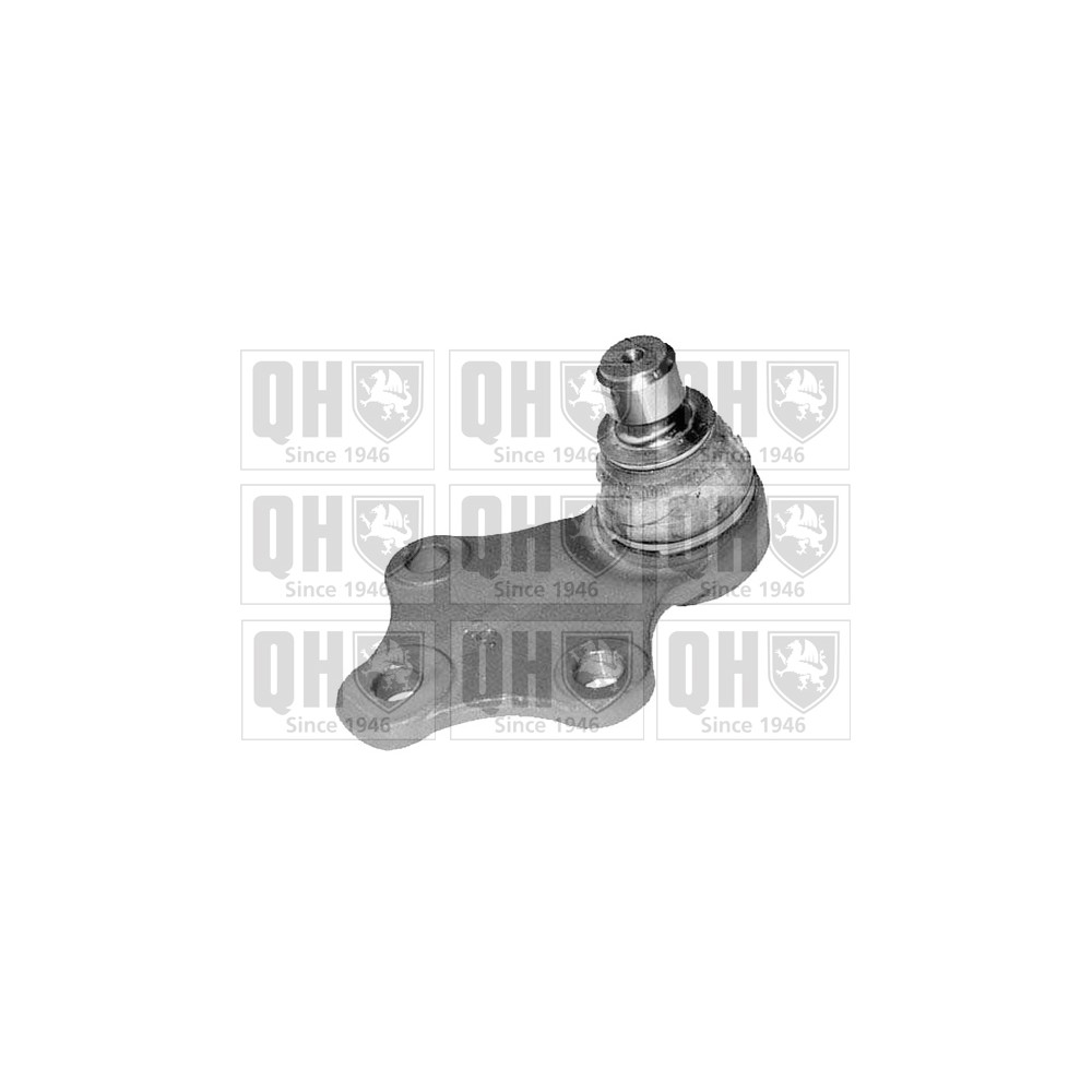 Image for QH QSJ9534S Ball Joint - Front Lower LH & RH