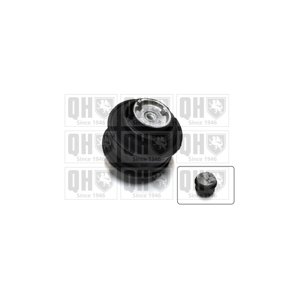 Image for QH EM2477 Engine Mounting