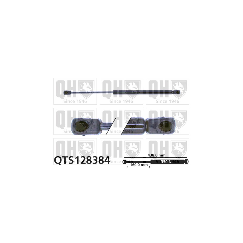 Image for QH QTS128384 Gas Spring