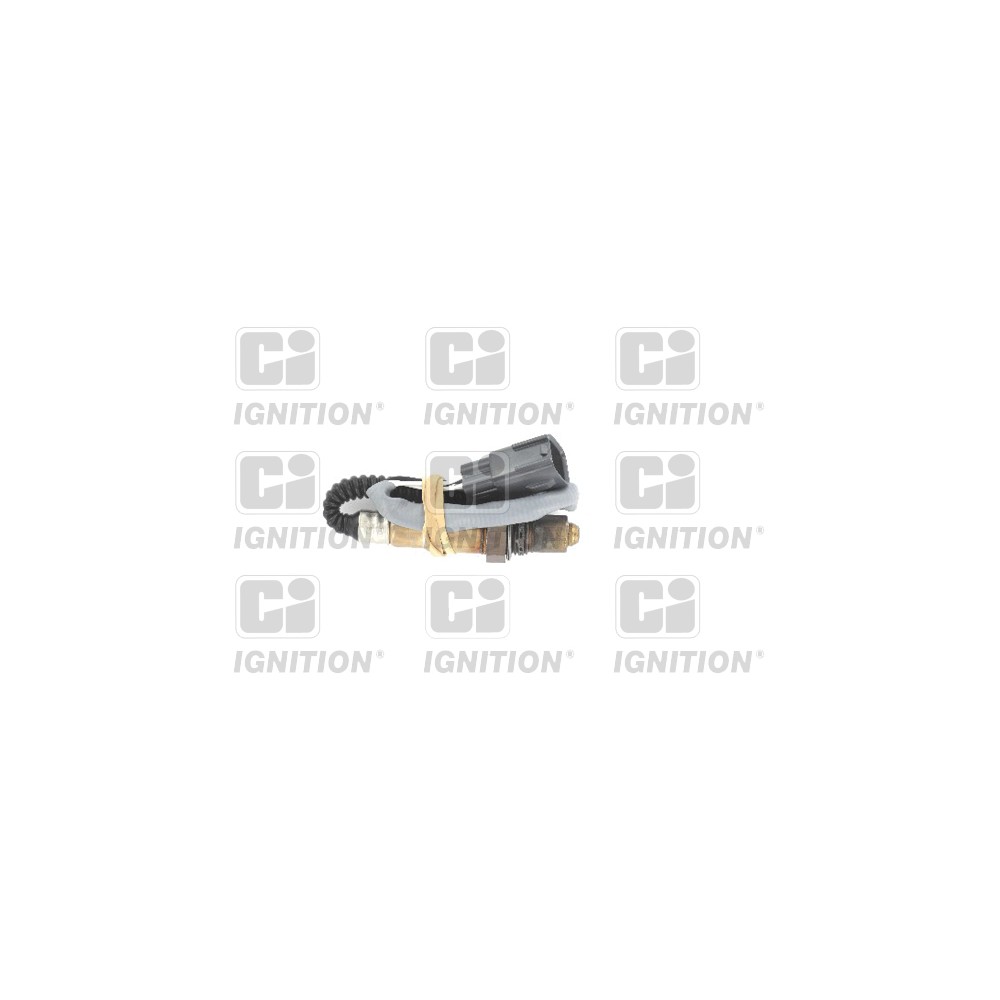 Image for Oxygen Sensor