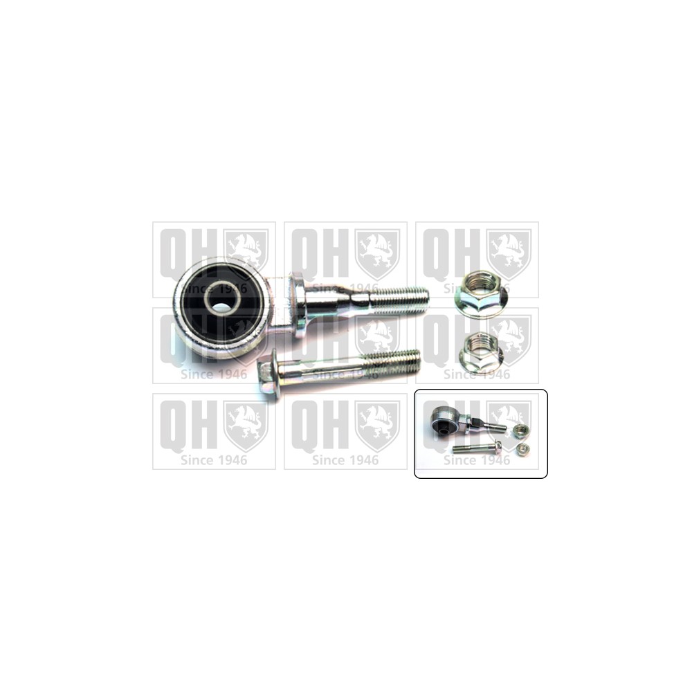 Image for QH EMS8317 Suspension Arm Bush - Front Upper LH & RH