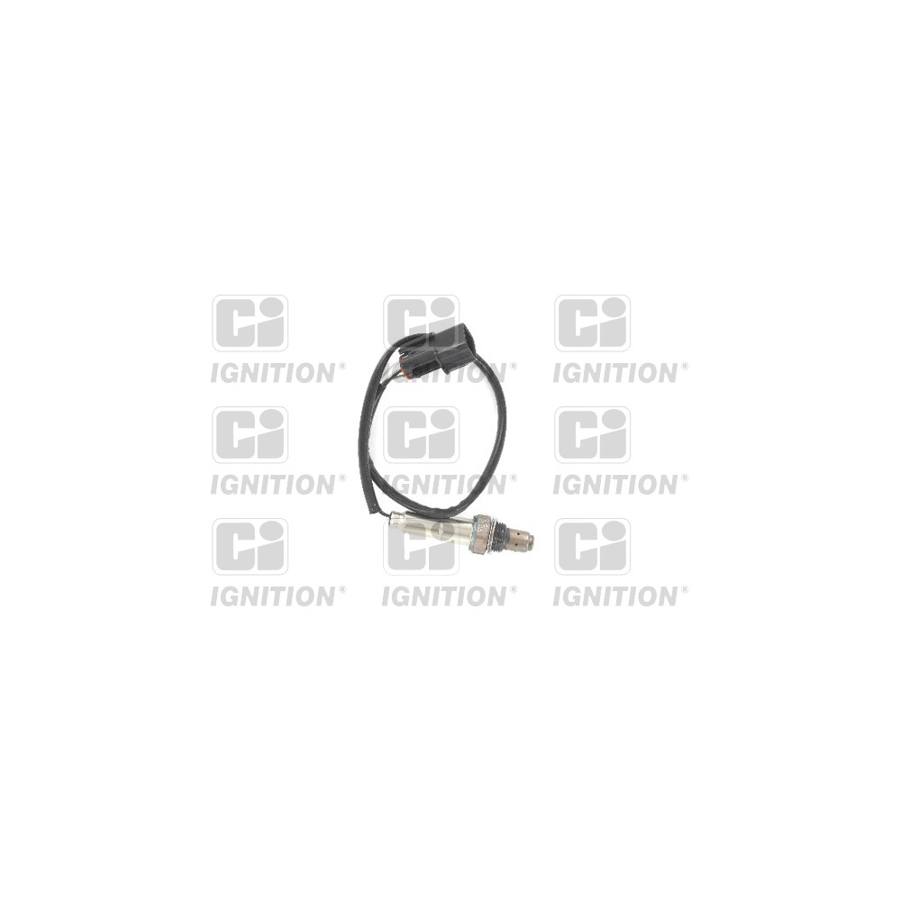 Image for Oxygen Sensor