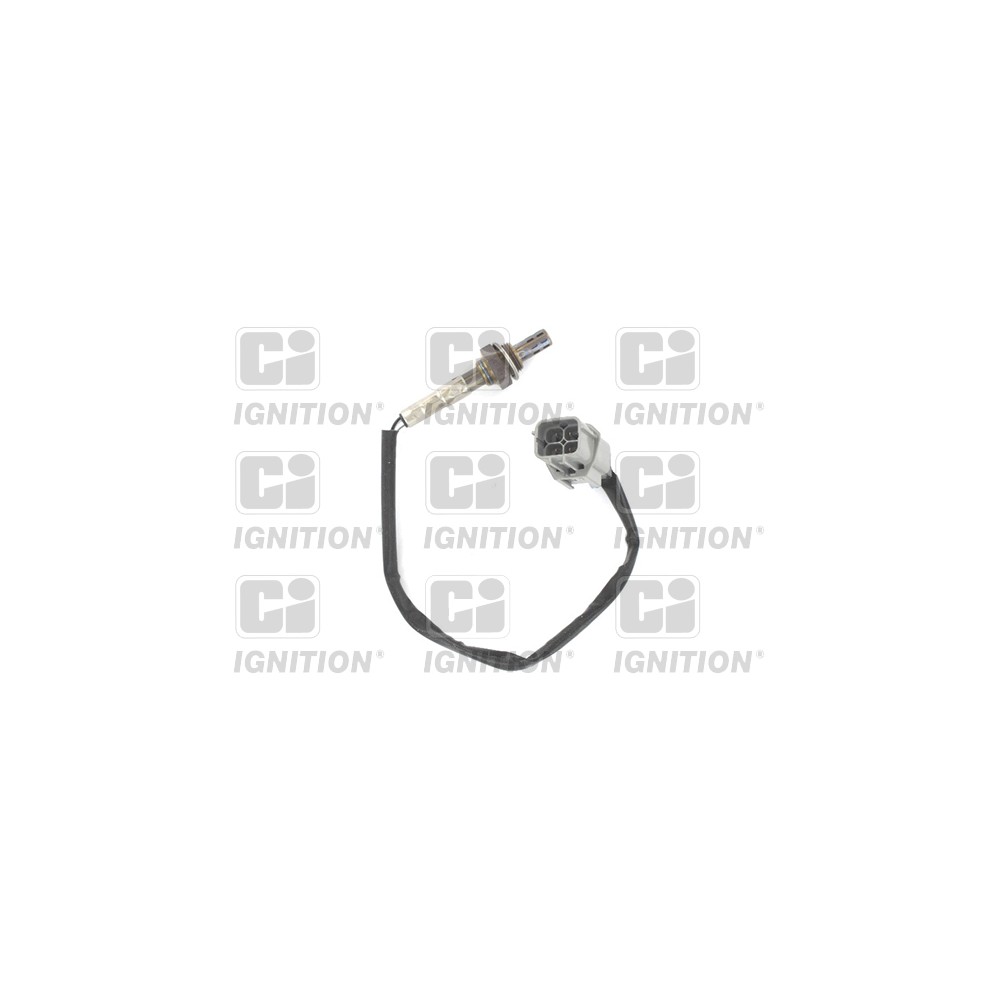 Image for Oxygen Sensor