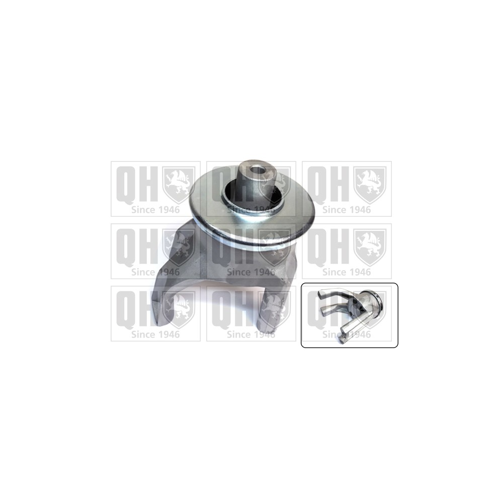 Image for QH EM4774 Engine Mounting