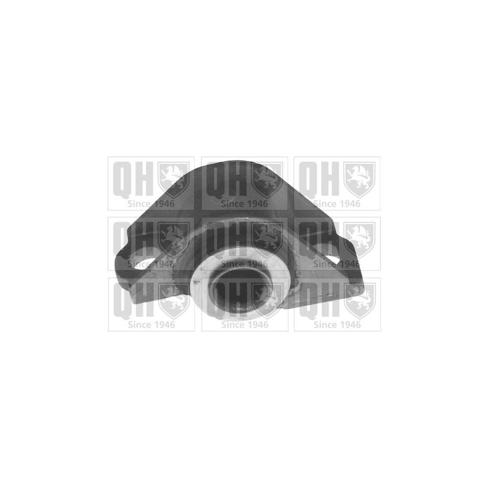 Image for QH EMS2664 Suspension Arm Bush - Front Lower RH (Rear)