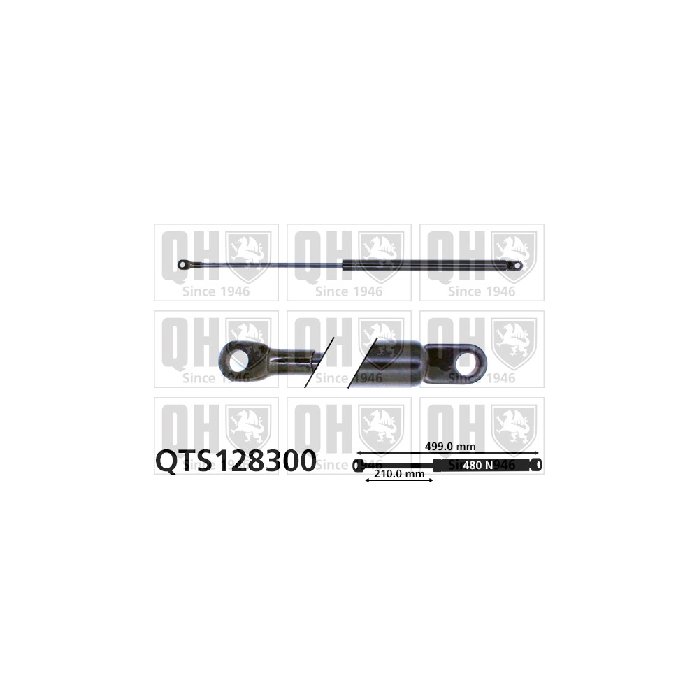 Image for QH QTS128300 Gas Spring