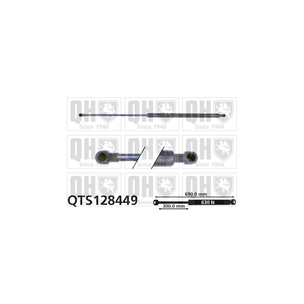 Image for QH QTS128449 Gas Spring