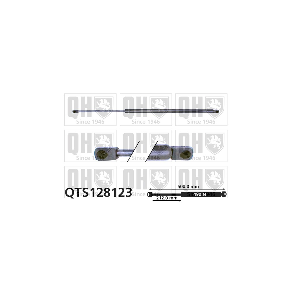 Image for QH QTS128123 Gas Spring