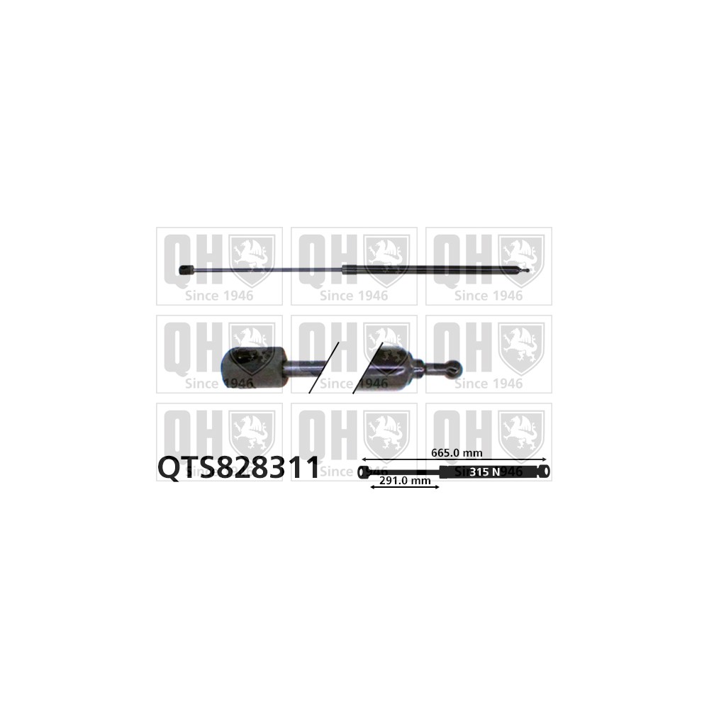 Image for QH QTS828311 Gas Spring