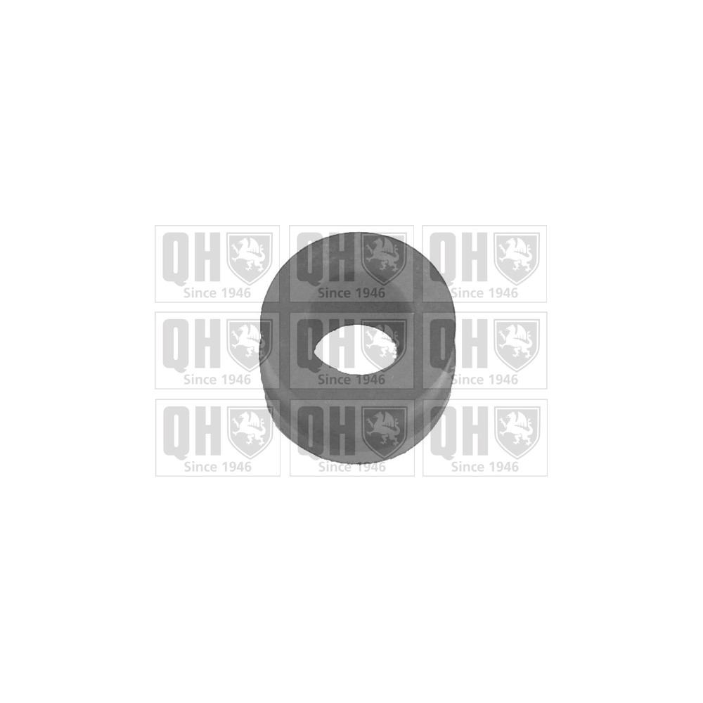 Image for QH Y889 Suspension Arm Bush - Front Lower LH & RH