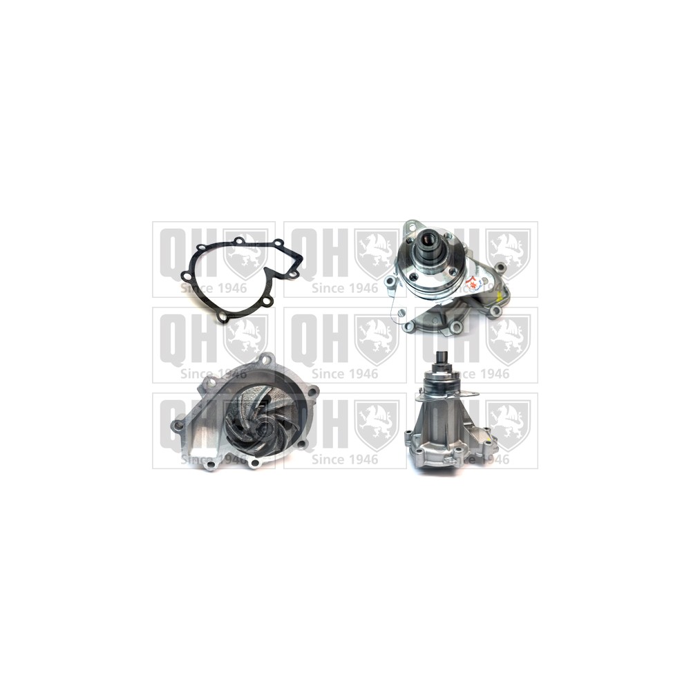 Image for QH QCP2450 Water Pump