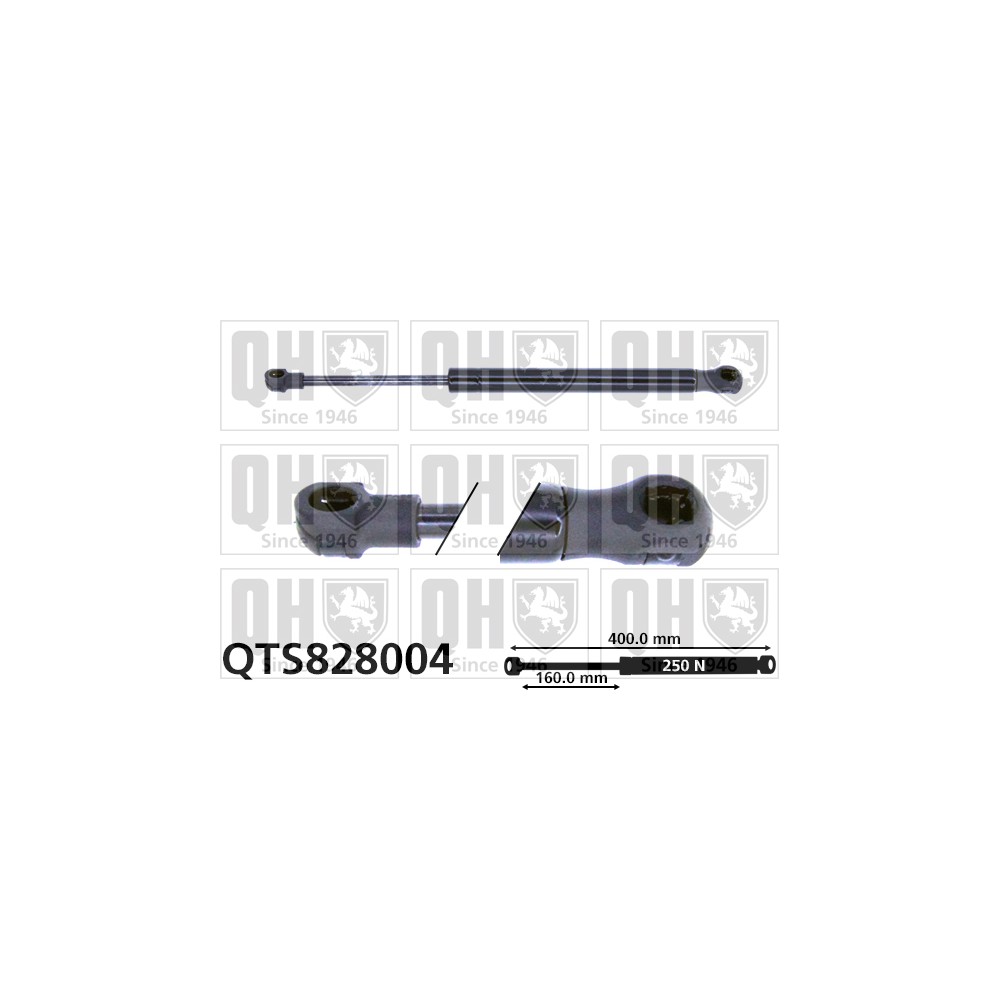 Image for QH QTS828004 Gas Spring