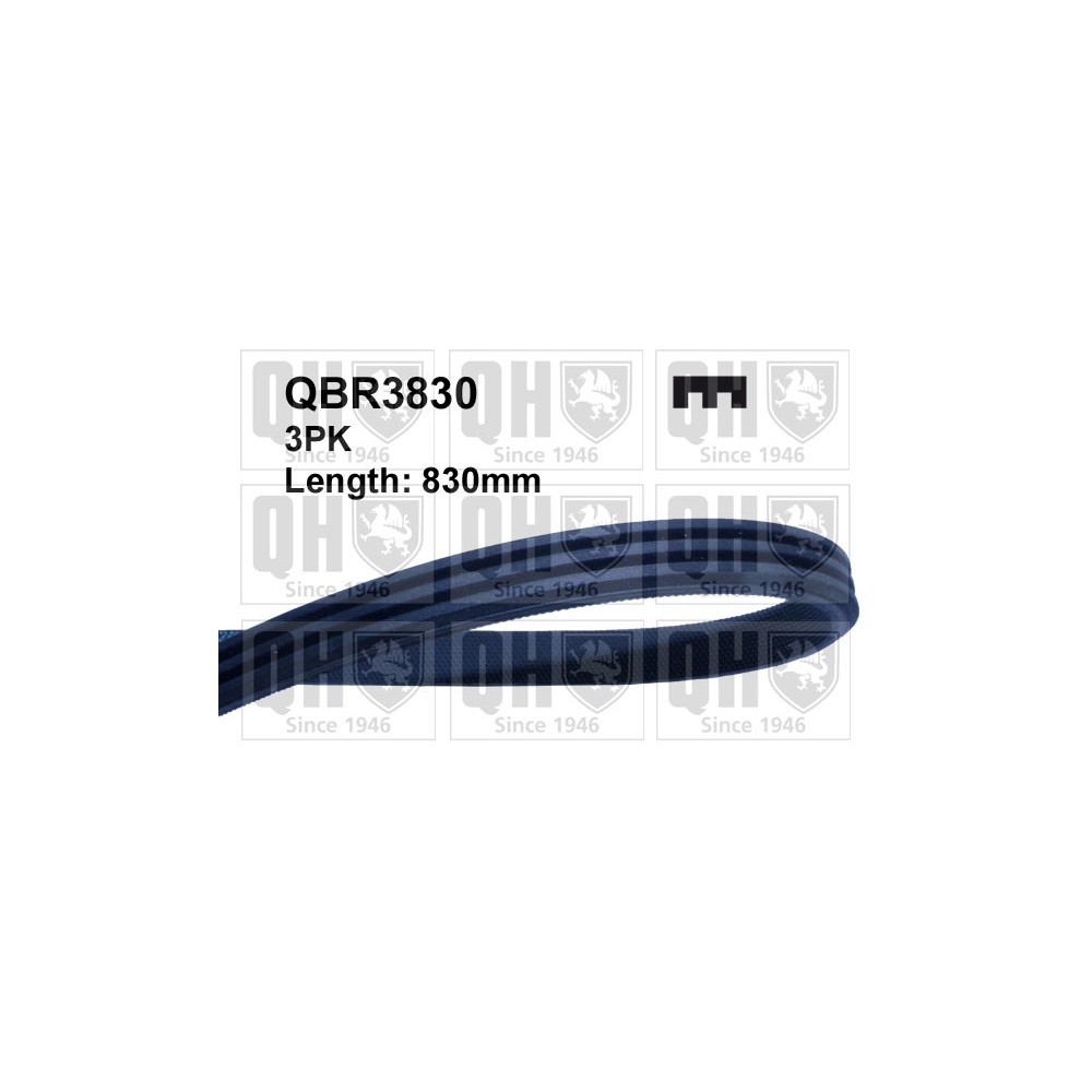 Image for QH QBR3830 MULTI-RIBBED BELT