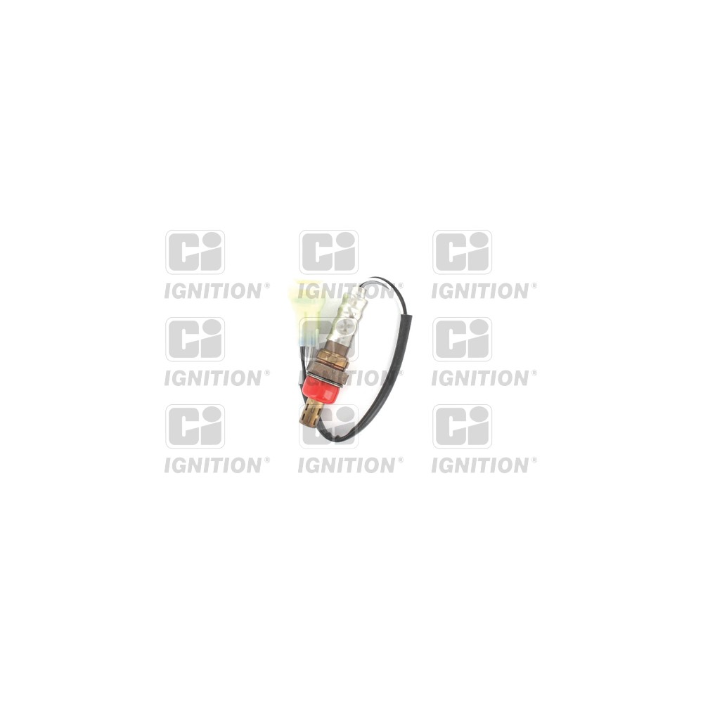 Image for Oxygen Sensor