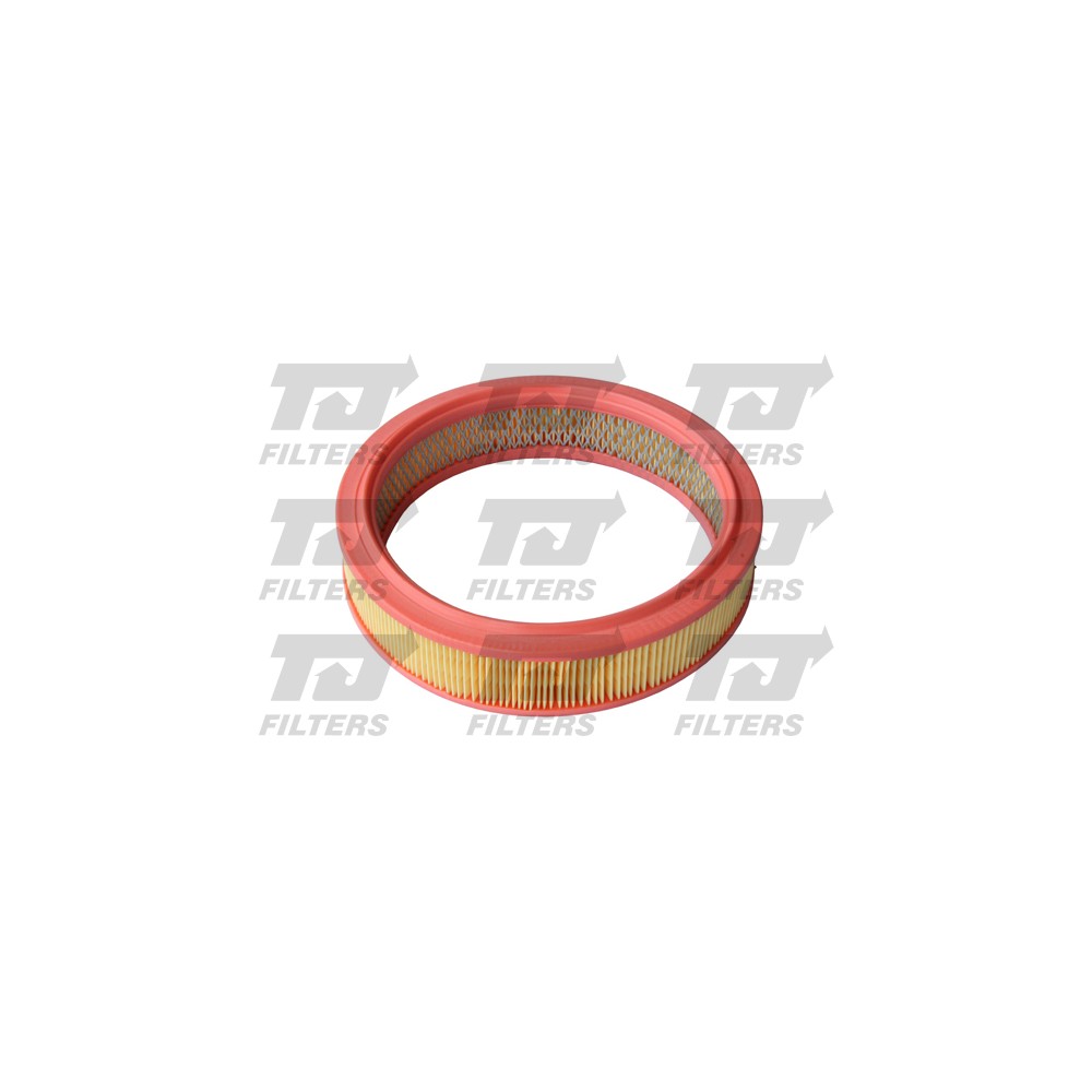 Image for TJ QFA0173 Air Filter