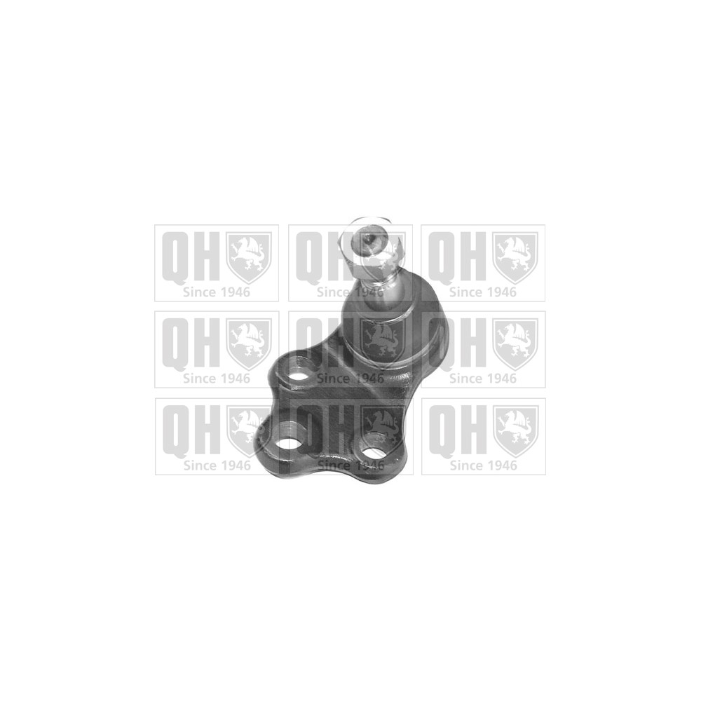 Image for QH QSJ1803S Ball Joint - Front Lower RH