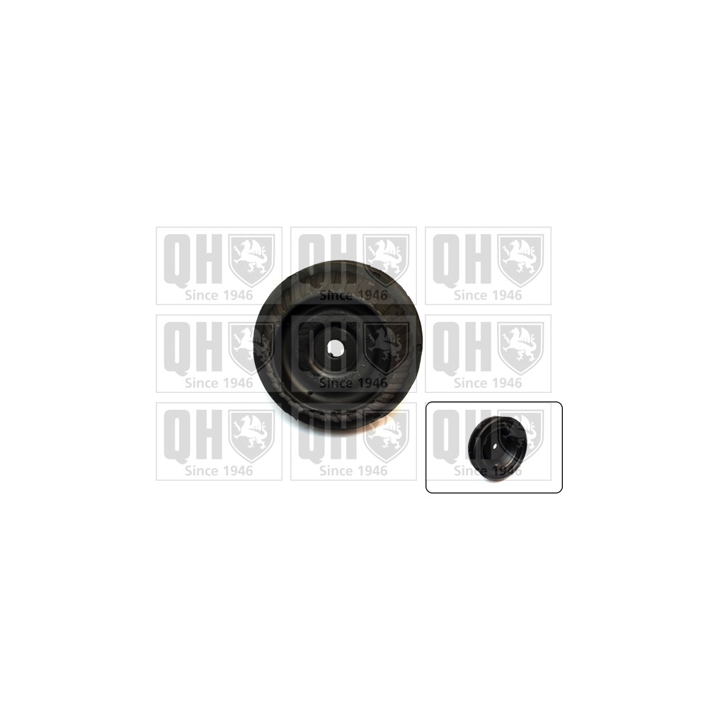 Image for QH EMR6024 Top Strut Mounting - Front exc.Bearing LH & RH