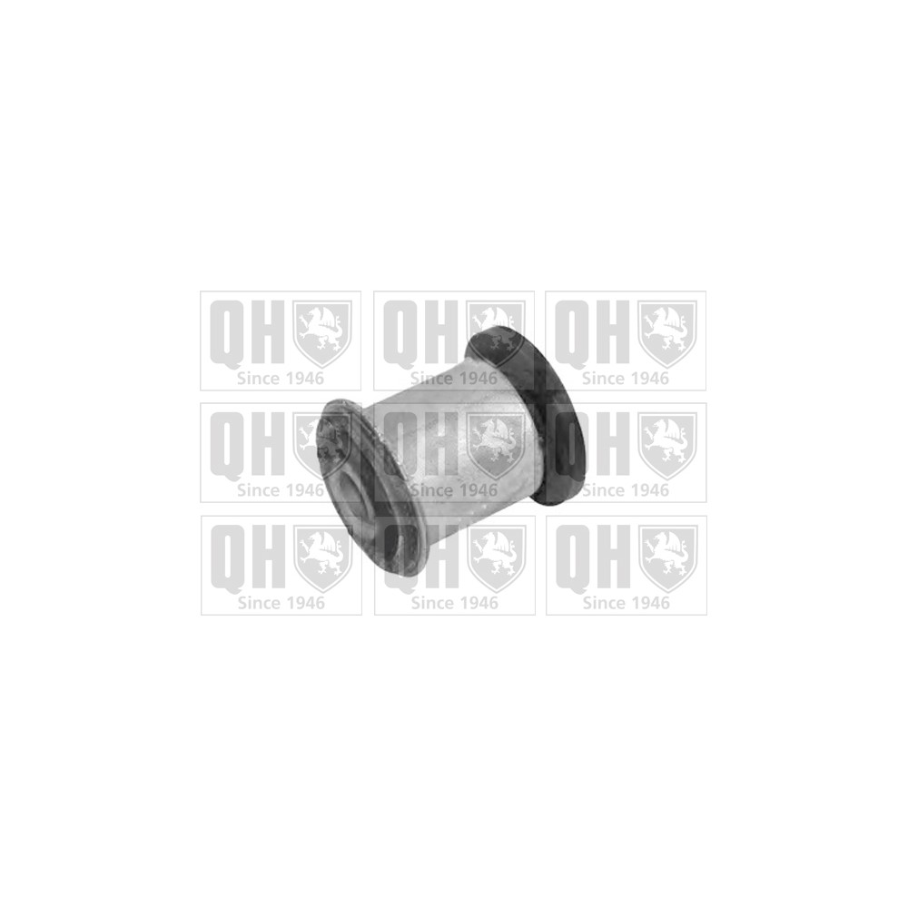 Image for QH EMS8403 Suspension Arm Bush - Front Lower LH & RH (Front)