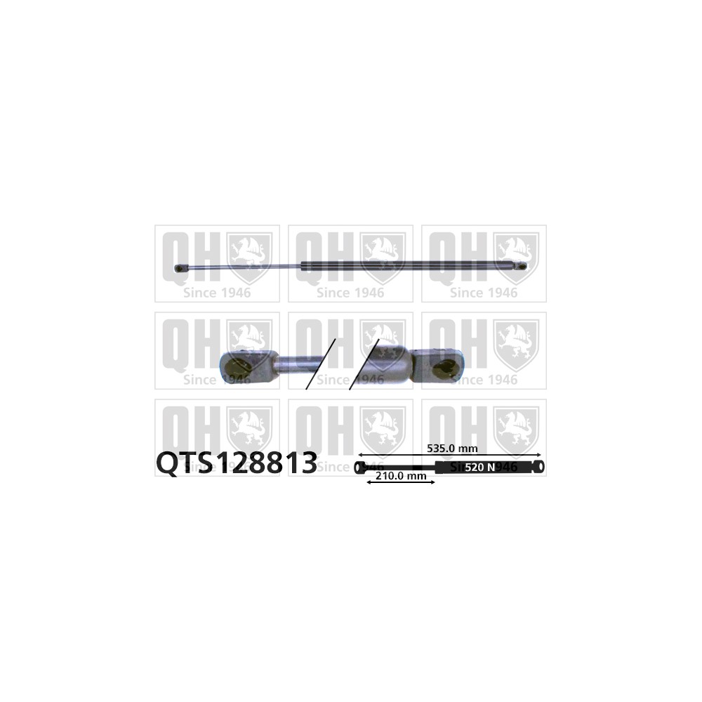 Image for QH QTS128813 Gas Spring