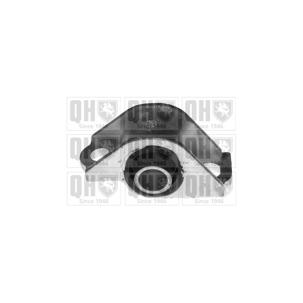 Image for QH EMS3075 Suspension Arm Bush - Front Lower LH (Rear)