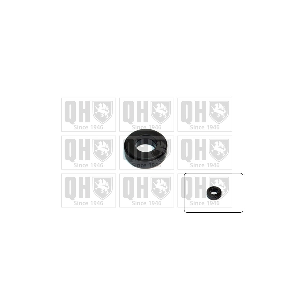 Image for QH QAM167 Top Strut Bearing