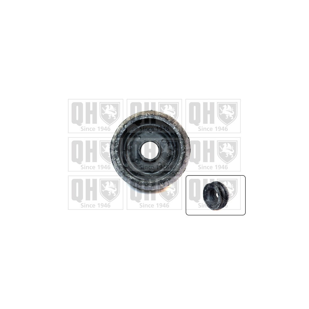 Image for QH EMR6006 Top Strut Mounting - Front exc.Bearing LH & RH