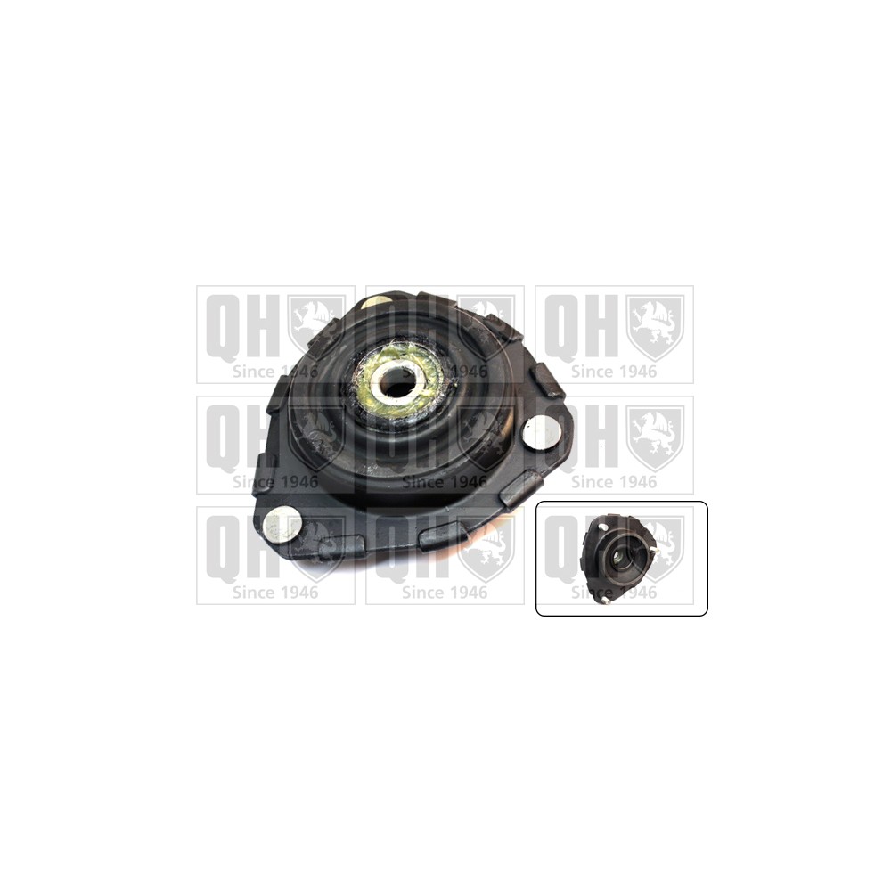 Image for QH EMA6078 Top Strut Mounting - Front inc.Bearing LH & RH