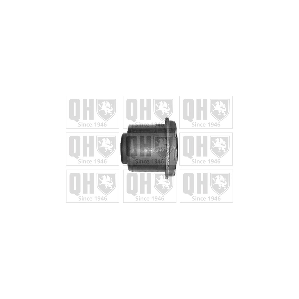 Image for QH EMS8179 Suspension Arm Bush - Front Lower LH & RH (Front)