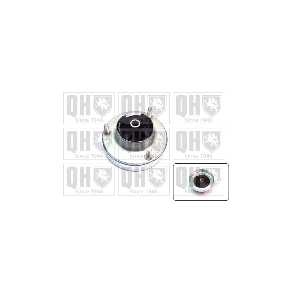 Image for QH EMR6031 Top Strut Mounting - Rear exc.Bearing LH & RH