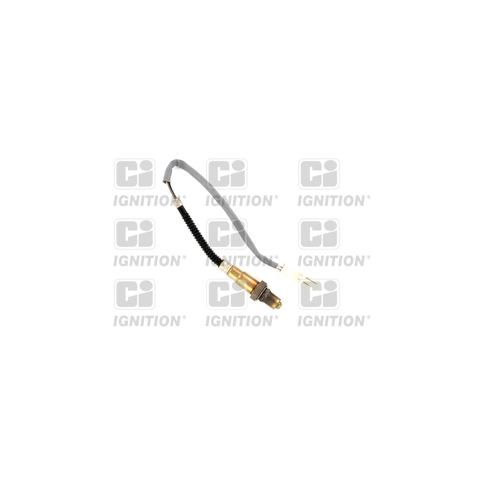 Image for CI XLOS1384 Oxygen Sensor