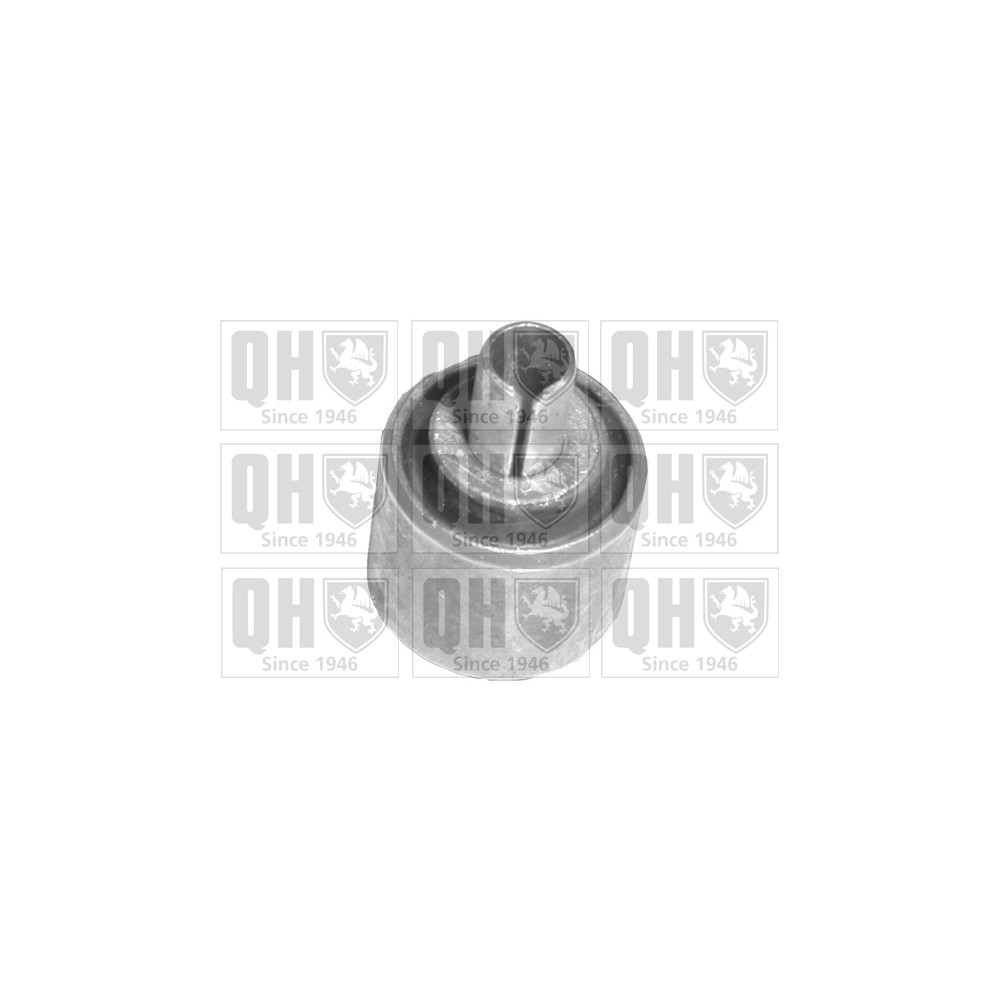 Image for QH EMS8105 Suspension Arm Bush - Front Upper LH & RH (Inner)