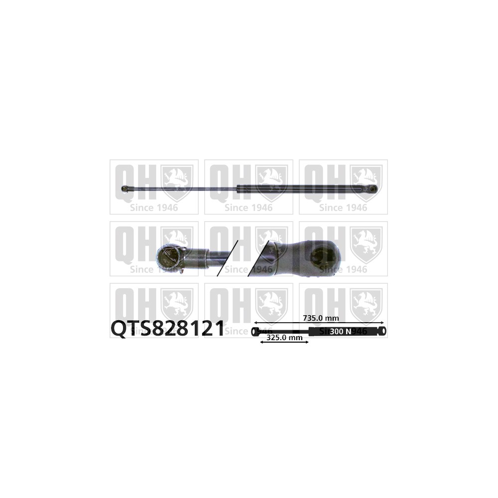 Image for QH QTS828121 Gas Spring