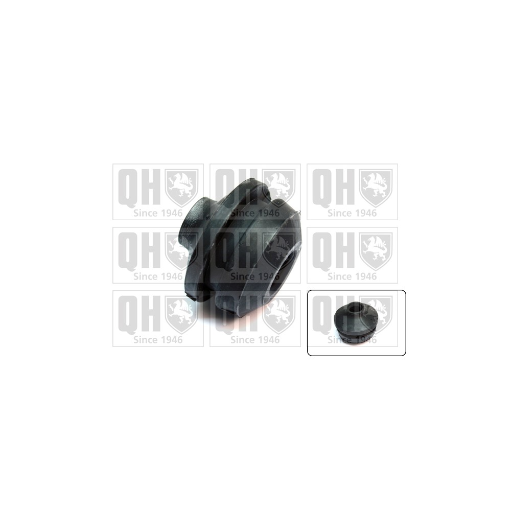 Image for QH EM4049 Engine Mounting