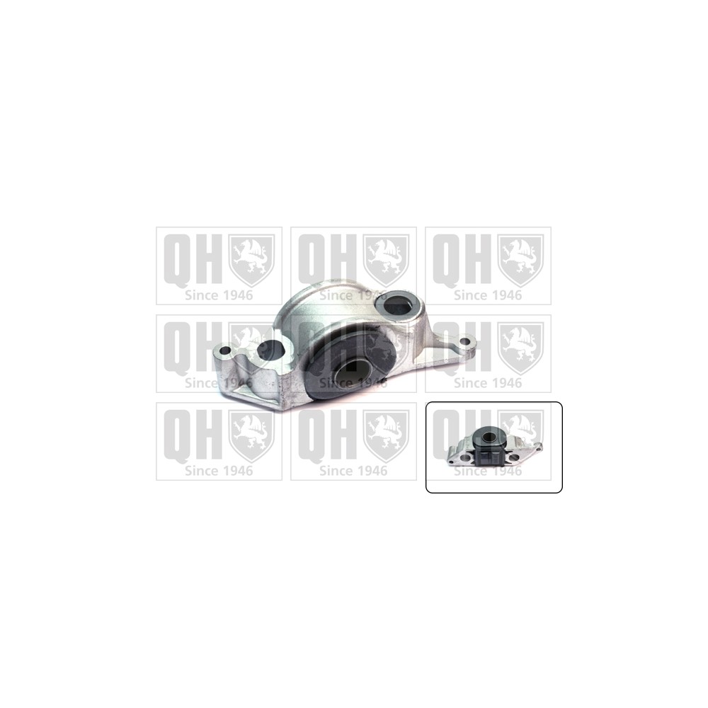 Image for QH EMS8438 Suspension Arm Bush - Front Lower LH (Rear)